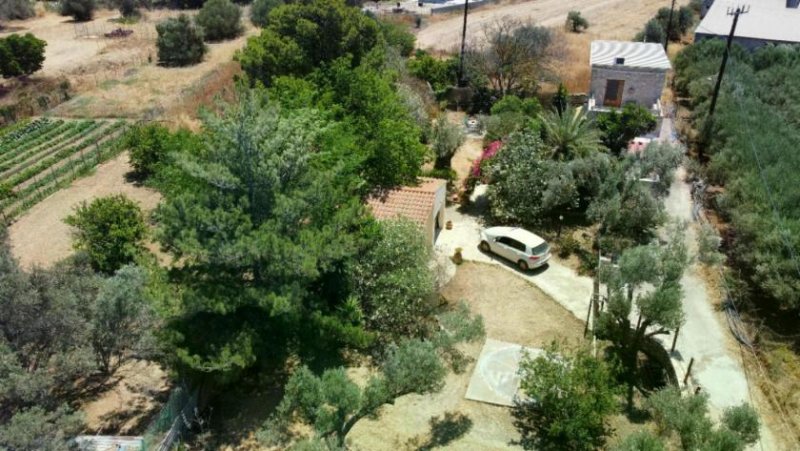 Pitsidia Kreta Natursteinhaus in Pitsidia /Kreta – Harmonie zwischen Tradition, Natur und Lebensfreude Haus kaufen